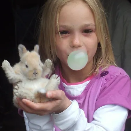 住宿加早餐酒店 贾格豪索尔酒店 拉姆绍达赫斯坦