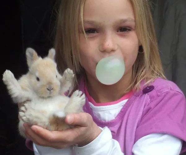 Alojamento de Acomodação e Pequeno-almoço Jagerhaeusl Ramsau am Dachstein